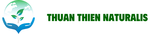 Thuận Thiên